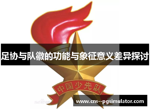 足协与队徽的功能与象征意义差异探讨