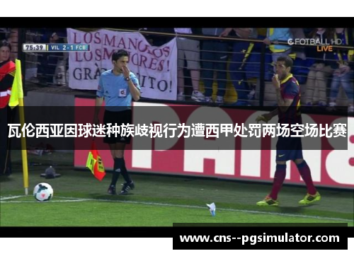 瓦伦西亚因球迷种族歧视行为遭西甲处罚两场空场比赛